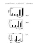 Isoform of Bruton s Tyrosine Kinase (BTK) Protein diagram and image