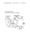 METHODS TO REDUCE ADVERSE EVENTS CAUSED BY PHARMACEUTICAL PREPARATIONS     COMPRISING PLASMA DERIVED PROTEINS diagram and image