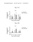 PERIPHERAL KAPPA RECEPTOR AGONISTS FOR REDUCING PAIN AND INFLAMMATION diagram and image