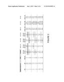 COMPOSITION FOR THE PHOTODYNAMIC DIAGNOSIS AND THERAPY OF TUMOURS diagram and image