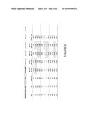 COMPOSITION FOR THE PHOTODYNAMIC DIAGNOSIS AND THERAPY OF TUMOURS diagram and image