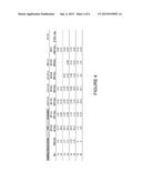 COMPOSITION FOR THE PHOTODYNAMIC DIAGNOSIS AND THERAPY OF TUMOURS diagram and image