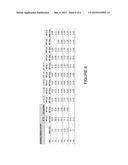 COMPOSITION FOR THE PHOTODYNAMIC DIAGNOSIS AND THERAPY OF TUMOURS diagram and image