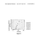 POLYMER-NSAID CONJUGATE diagram and image