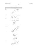 POLYMER-NSAID CONJUGATE diagram and image