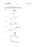 POLYMER-NSAID CONJUGATE diagram and image