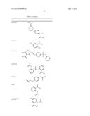 POLYMER-NSAID CONJUGATE diagram and image