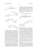 POLYMER-NSAID CONJUGATE diagram and image