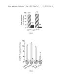 PEPTIDE CONJUGATES FOR TREATING PAIN diagram and image