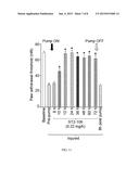 PEPTIDE CONJUGATES FOR TREATING PAIN diagram and image