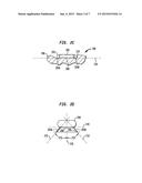 IMPLANTABLE DEVICE HAVING OSSEOINTEGRATING PROTUBERANCES diagram and image