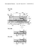 PEELING APPARATUS AND STACK MANUFACTURING APPARATUS diagram and image