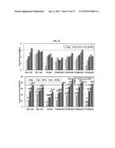 HYDRAULIC BINDER COMPOSITION USING RAPIDLY-COOLED STEELMAKING REDUCED SLAG     POWDER, AND METHOD OF PREPARING THE SAME diagram and image