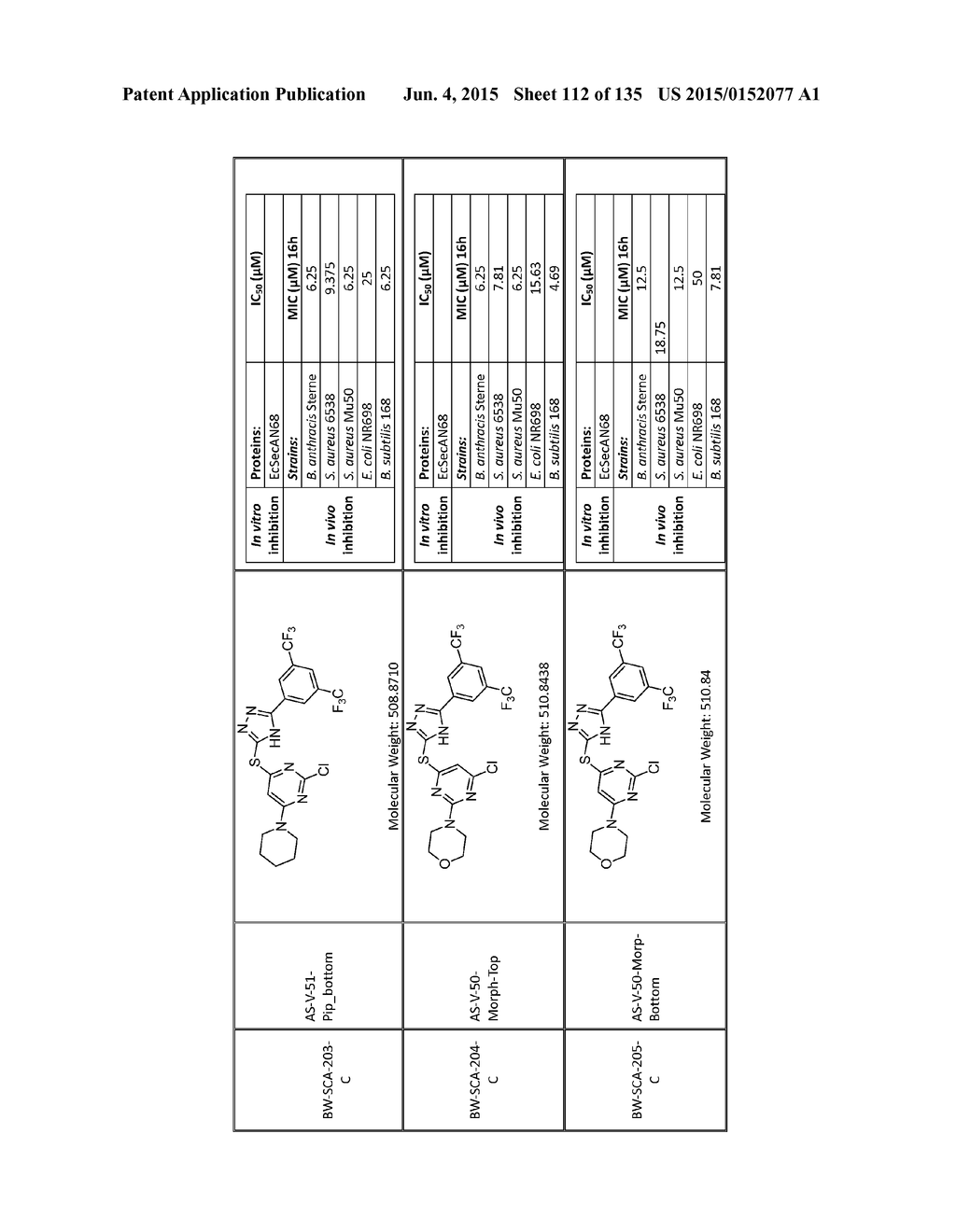 SecA Inhibitors and Methods of Making and Using Thereof - diagram, schematic, and image 113