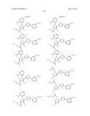 LIVER X RECEPTOR (LXR) MODULATORS FOR THE TREATMENT OF DERMAL DISEASES,     DISORDERS AND CONDITIONS diagram and image