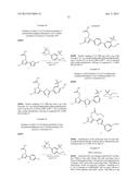 LIVER X RECEPTOR (LXR) MODULATORS FOR THE TREATMENT OF DERMAL DISEASES,     DISORDERS AND CONDITIONS diagram and image