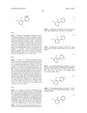 INDAZOLE INHIBITORS OF THE WNT SIGNAL PATHWAY AND THERAPEUTIC USES THEREOF diagram and image