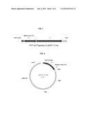 SALMONELLA TYPHI TY21A EXPRESSING YERSINIA PESTIS F1-V FUSION PROTEIN AND     USES THEREOF diagram and image