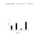 SERUM ALBUMIN BINDING MOLECULES diagram and image