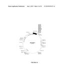 SERUM ALBUMIN BINDING MOLECULES diagram and image