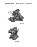 SERUM ALBUMIN BINDING MOLECULES diagram and image