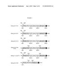 TUMOR VACCINATION INVOLVING A HUMORAL IMMUNE RESPONSE AGAINST     SELF-PROTEINS diagram and image