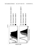 TUMOR VACCINATION INVOLVING A HUMORAL IMMUNE RESPONSE AGAINST     SELF-PROTEINS diagram and image