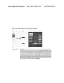 MATRIX METALLOPROTEINASE CLEAVABLE PROTEIN POLYMERS FOR CANCER GENE     THERAPY diagram and image