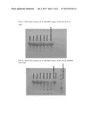 MATRIX METALLOPROTEINASE CLEAVABLE PROTEIN POLYMERS FOR CANCER GENE     THERAPY diagram and image