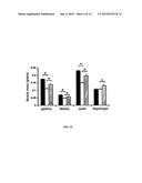 ANTAGONIST ANTIBODIES AGAINST GDF-8 diagram and image