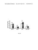 ANTAGONIST ANTIBODIES AGAINST GDF-8 diagram and image