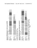 ANTAGONIST ANTIBODIES AGAINST GDF-8 diagram and image