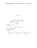 Anti-PSMA Antibodies Conjugated to Nuclear Receptor Ligand Polypeptides diagram and image