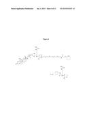 Anti-PSMA Antibodies Conjugated to Nuclear Receptor Ligand Polypeptides diagram and image