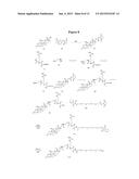 Anti-PSMA Antibodies Conjugated to Nuclear Receptor Ligand Polypeptides diagram and image