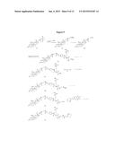 Anti-PSMA Antibodies Conjugated to Nuclear Receptor Ligand Polypeptides diagram and image