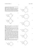 BENZOCROWN ETHER GRAFT POLYMER WITH LITHIUM ISOTOPIC SEPARATION EFFECT AND     PREPARATION METHOD THEREOF diagram and image