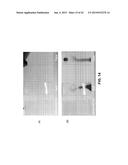 SLIPPERY SELF-LUBRICATING POLYMER SURFACES diagram and image