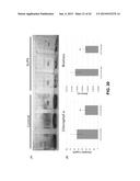 SLIPPERY SELF-LUBRICATING POLYMER SURFACES diagram and image