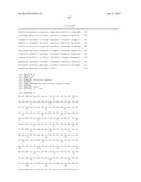 FLAVIN-CONJUGATED GLUCOSE DEHYDROGENASE AND POLYNUCLEOTIDE ENCODING THE     SAME diagram and image