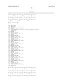 CHIMERIC LUCIFERASES diagram and image