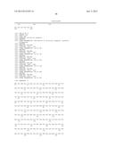 CHIMERIC LUCIFERASES diagram and image