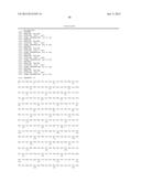 CHIMERIC LUCIFERASES diagram and image