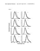 CHIMERIC LUCIFERASES diagram and image