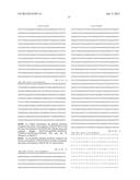 CHIMERIC LUCIFERASES diagram and image