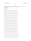 CHIMERIC LUCIFERASES diagram and image