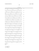 CHIMERIC LUCIFERASES diagram and image