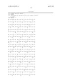 CHIMERIC LUCIFERASES diagram and image