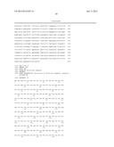 CHIMERIC LUCIFERASES diagram and image