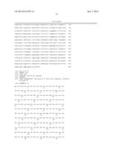 CHIMERIC LUCIFERASES diagram and image